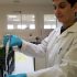Suivi des Brett par qPCR Suivi des Brett par qPCR